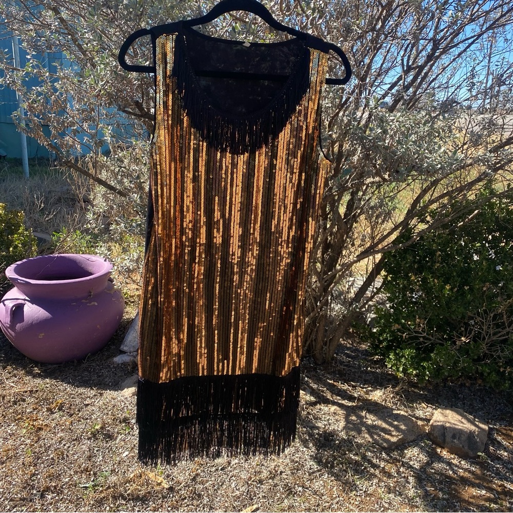 Mardi Gras Dress Size Large